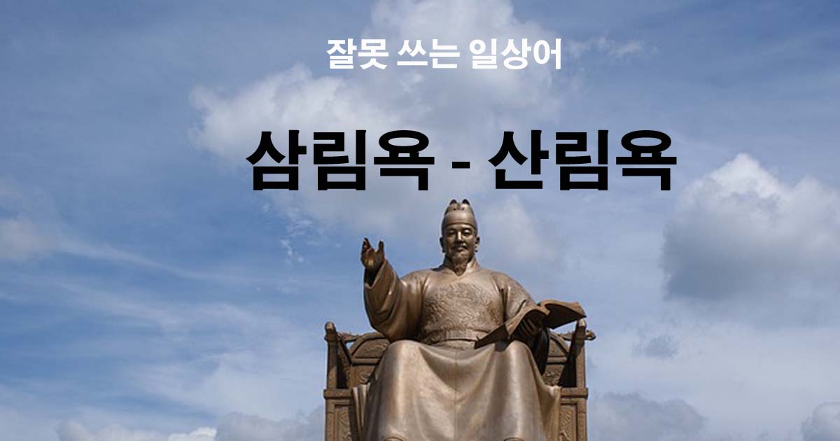 삼림욕-산림욕