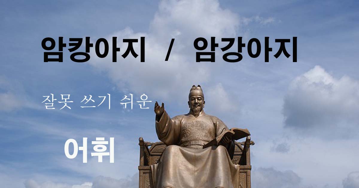 암캉아지-암강아지