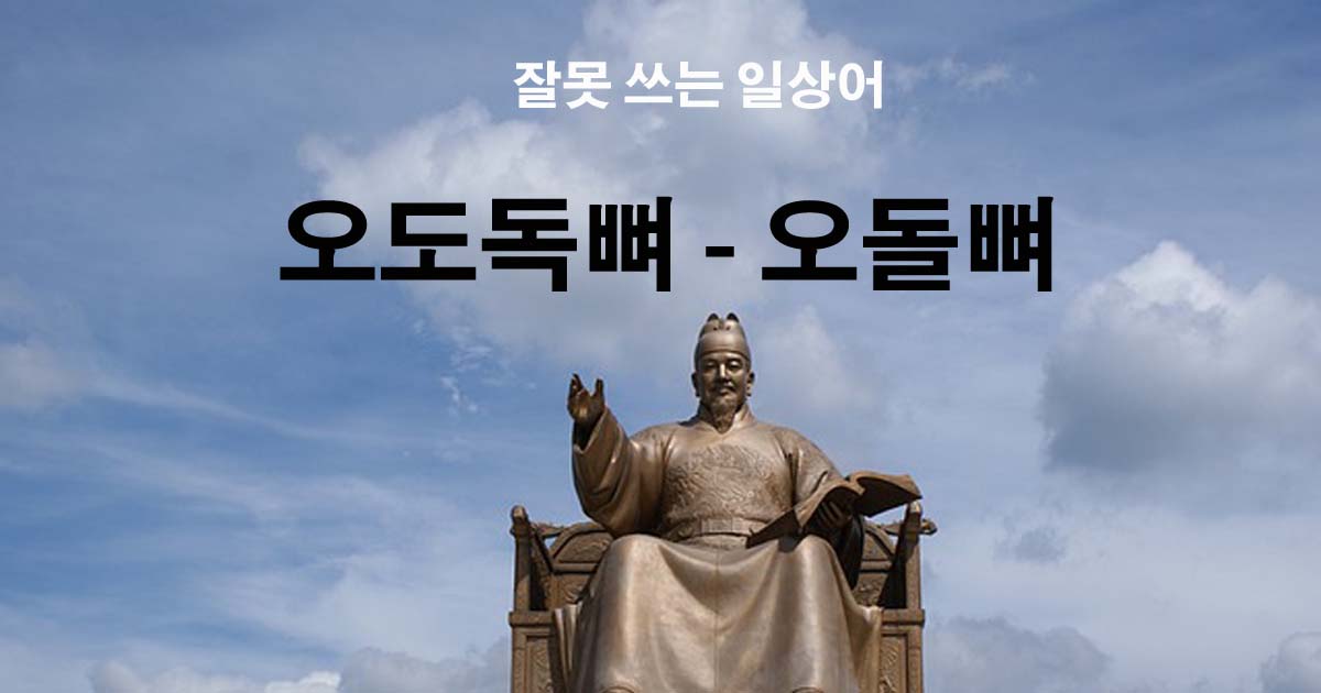 오도독뼈-오돌뼈