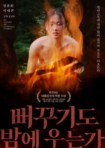 [그 시절 영화] 뻐꾸기도 밤에 우는가 1