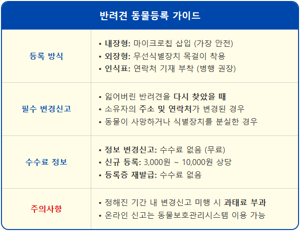 잃어버린 반려견 찾고 동물 변경신고 놓치면 과태료 2 잃어버린 반려견 찾고 동물 변경신고 놓치면 과태료 1