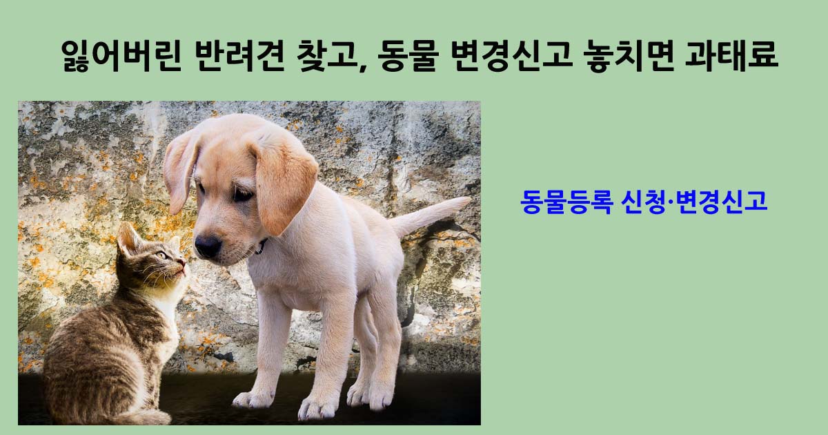 동물등록 신청·변경신고