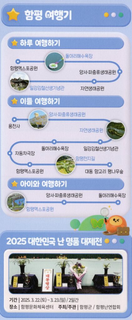 2025년 함평나비축제와 자동차극장 4