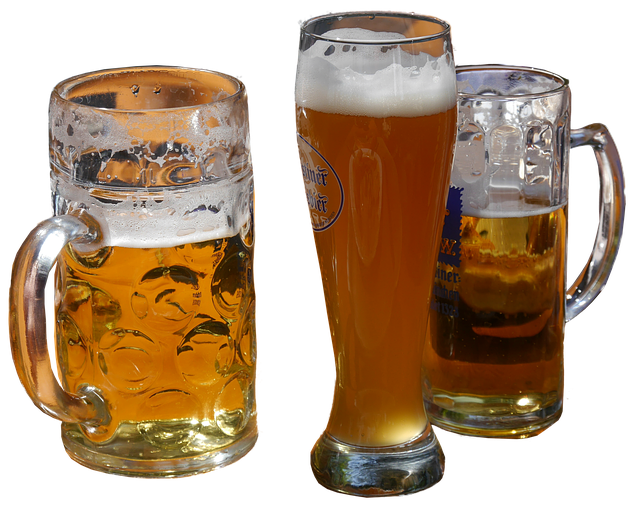 에일맥주 라거맥주 결정적 차이와 람빅맥주 2