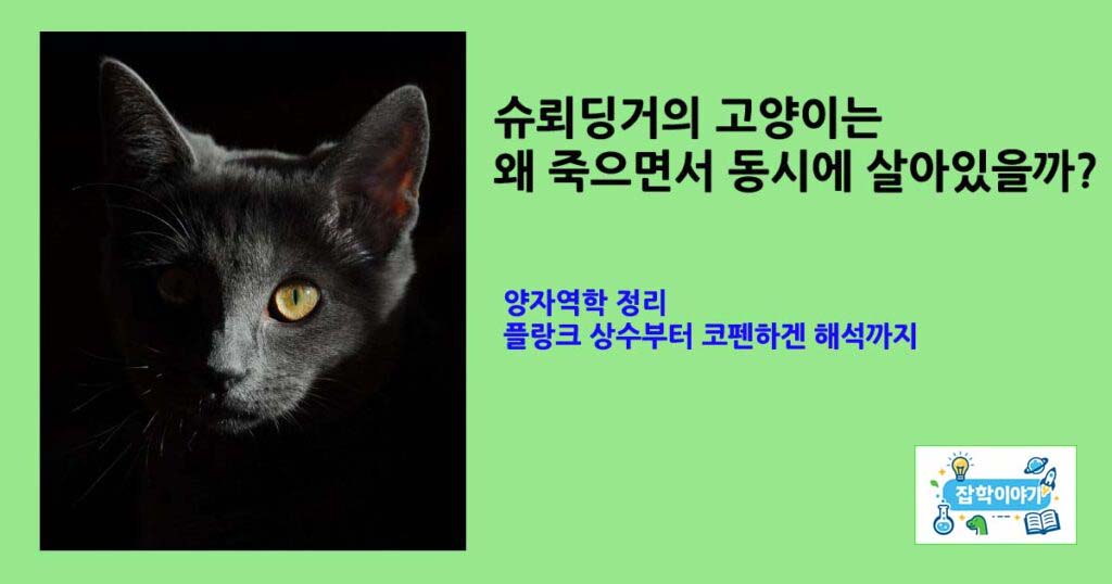 슈뢰딩거고양이