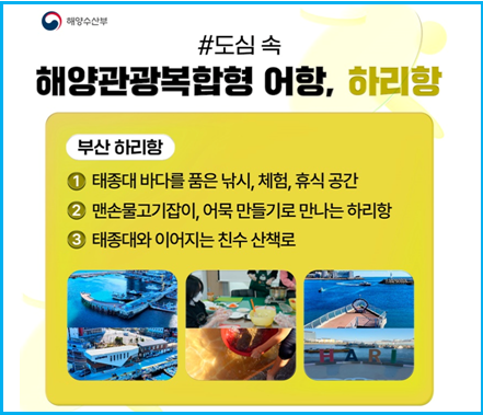 해양수산부 추천 2026 바다 힐링지 3곳 4