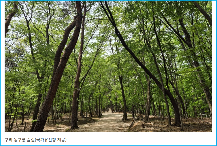 세계유산 조선왕릉 숲길 9개 코스 개방 3 세계유산 조선왕릉 숲길 9개 코스 개방 2